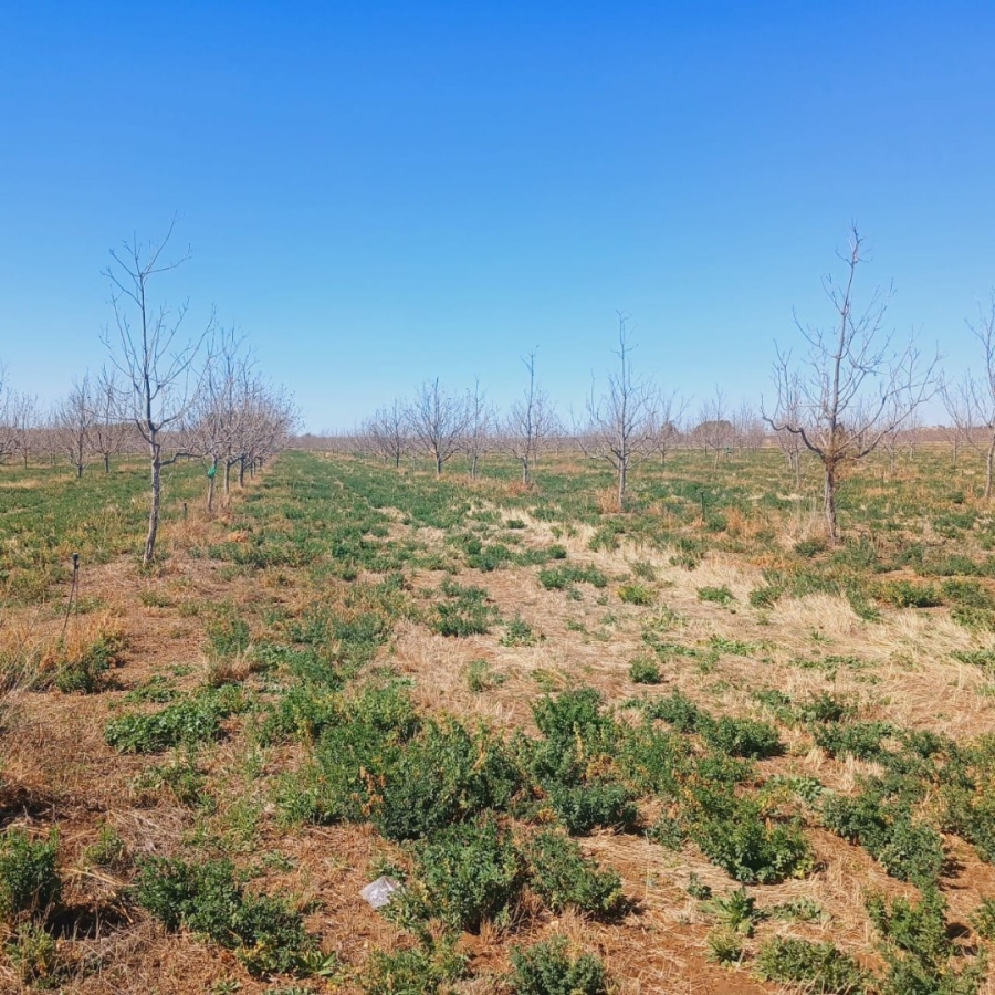  Bedroom Property for Sale in Hartswater Rural Northern Cape